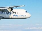 fly-jaya-1_169.png
