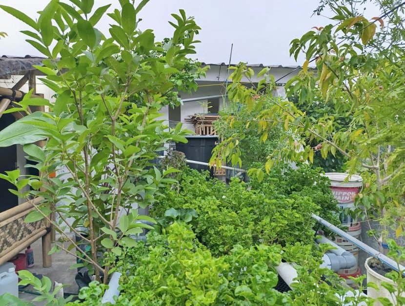 Penerapan permakultur / FIFARM