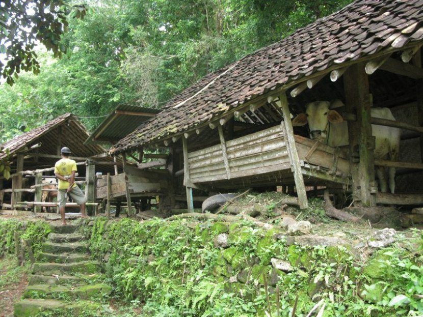bumilangit.org
