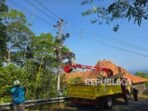 sejumlah-petugas-pln-melakukan-pekerjaan-pemeliharaan-jaringan-listrik-pada_260809144021-565.jpg