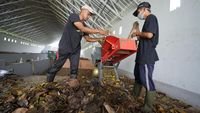 UMY Tempati Peringkat Ke-12 Nasional dalam UI GreenMetric 2026